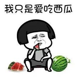 吃瓜配娱乐,娱乐生活乐翻天